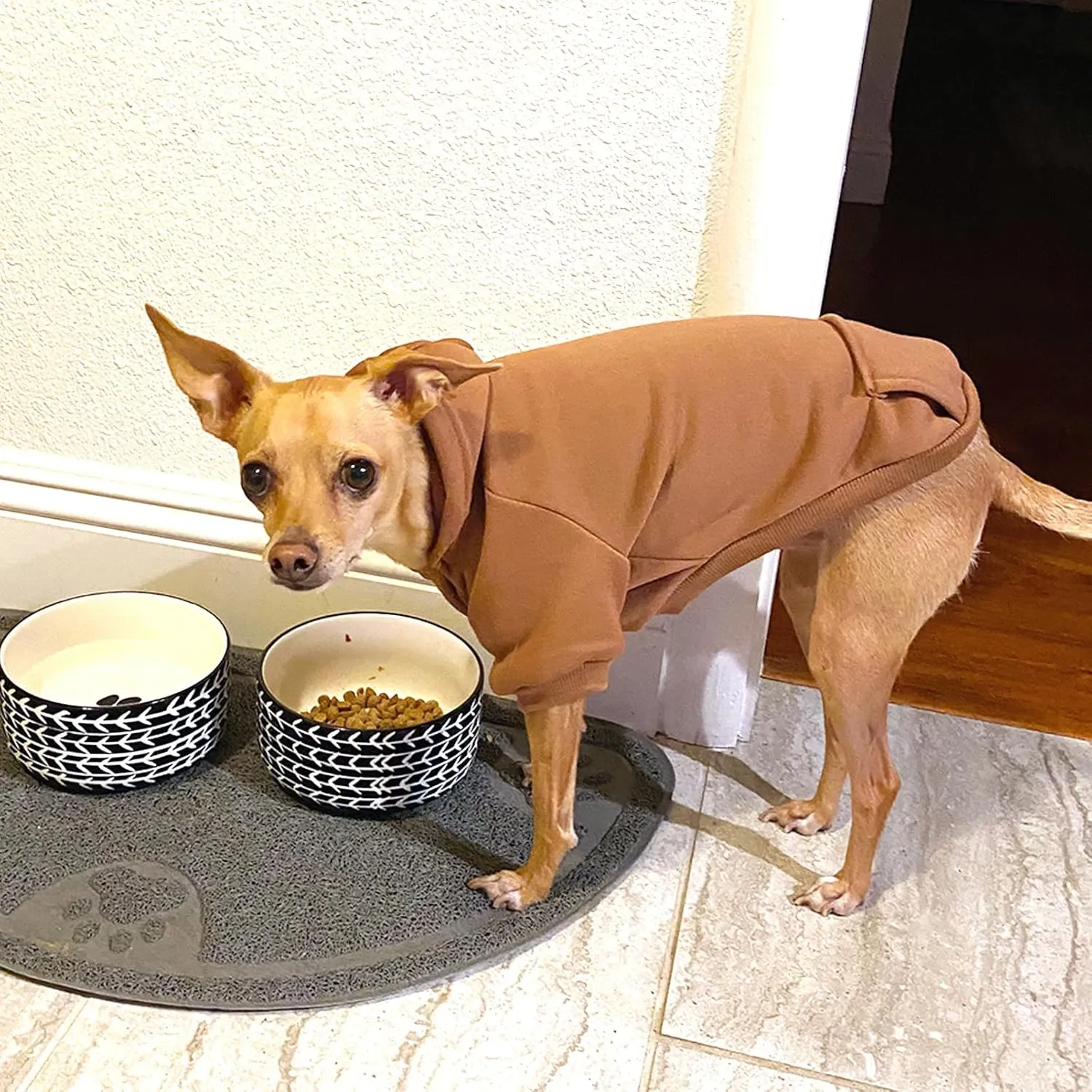 Jecikelon Winter Dog Hoodie Sweatshirts with Pockets Warm Dog Clothes for Small Dogs Chihuahua Coat Clothing Puppy Cat Custume (Coffee, X-Large)