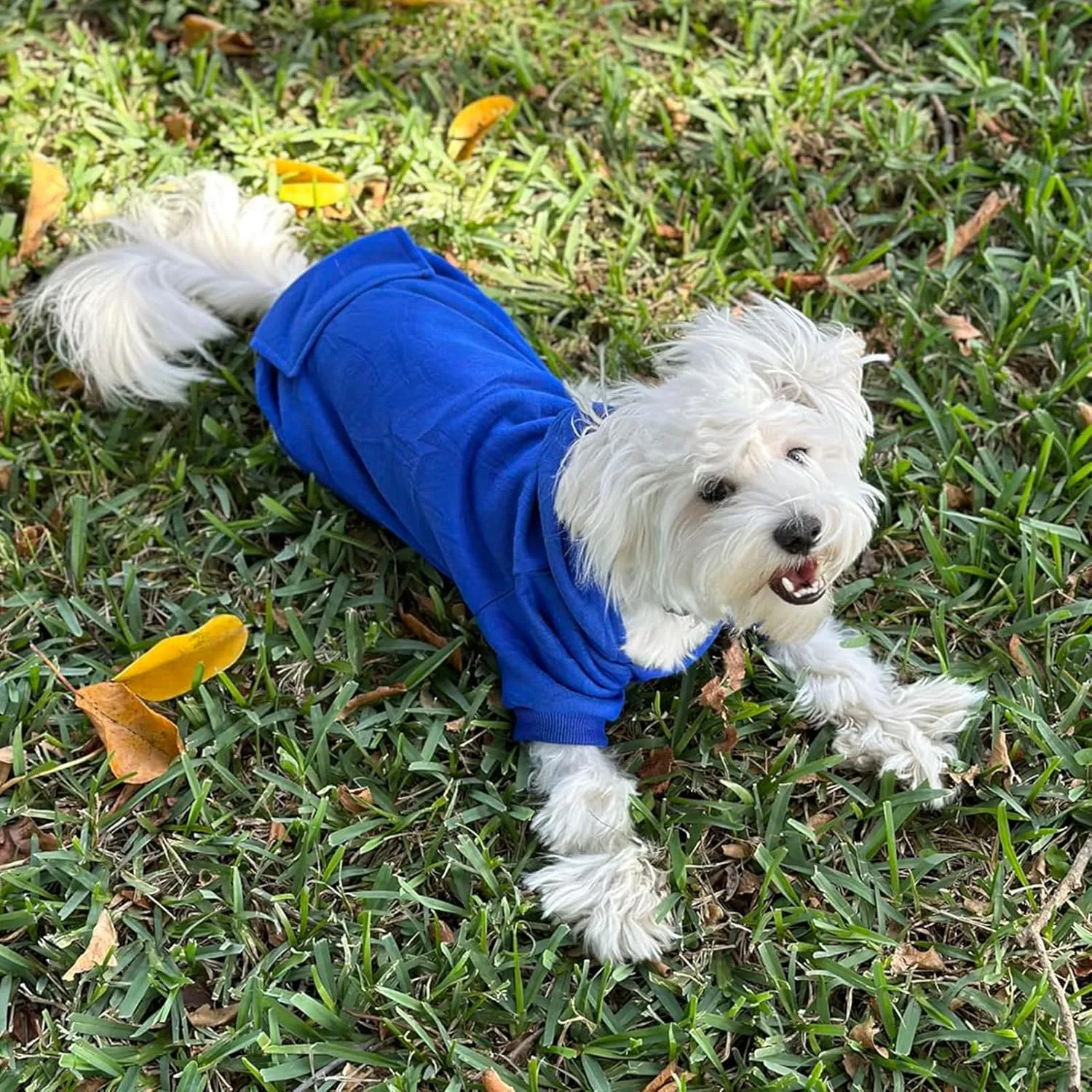 Jecikelon Winter Dog Hoodie Sweatshirts with Pockets Warm Dog Clothes for Small Dogs Chihuahua Coat Clothing Puppy Cat Custume (Dark Blue, XX-Small)