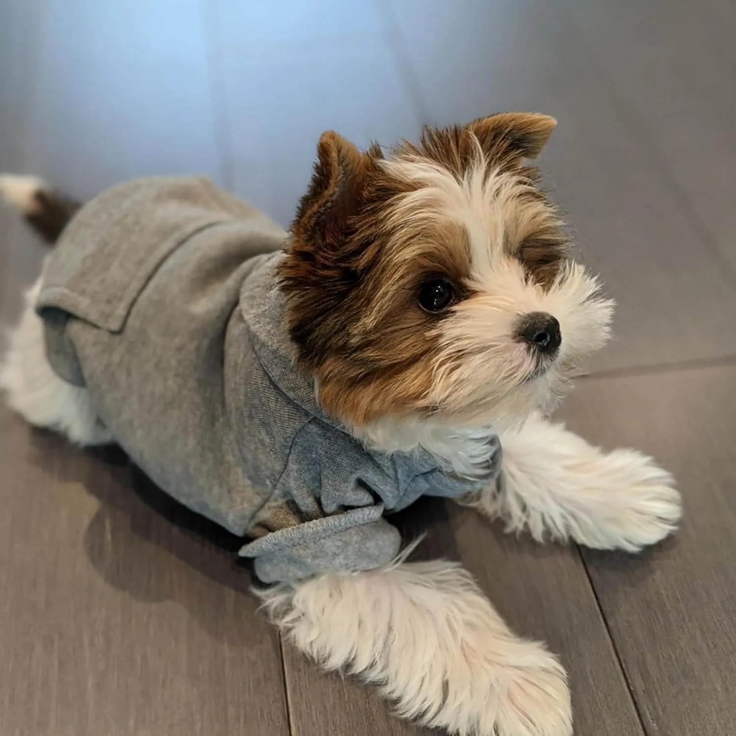 Jecikelon Winter Dog Hoodie Sweatshirts with Pockets Warm Dog Clothes for Small Dogs Chihuahua Coat Clothing Puppy Cat Custume (Grey, XX-Small)