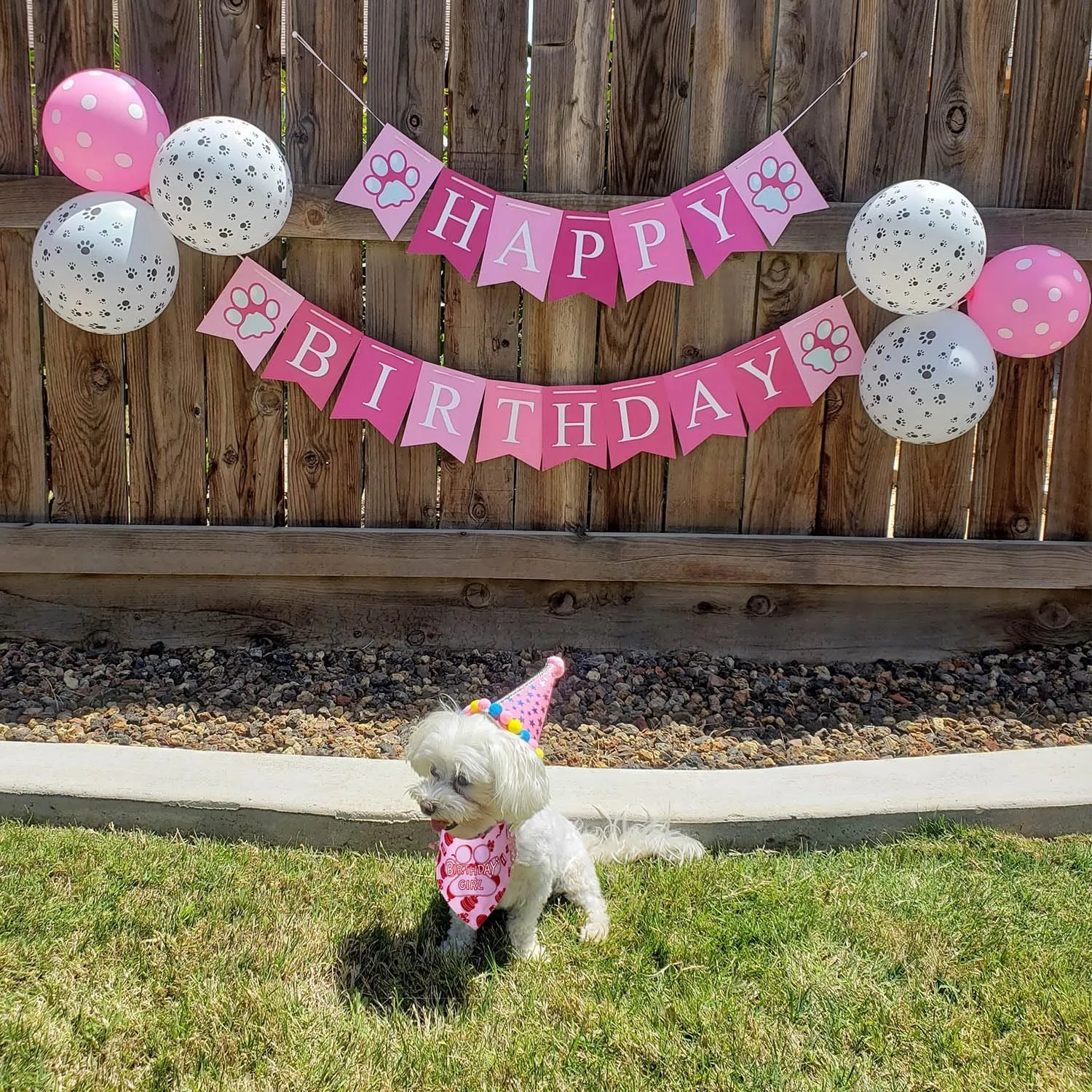 TCBOYING Dog Birthday Bandana, Dog Birthday Boy Hat Scarfs Flag Balloon with Cute Doggie Birthday Party Supplies Decorations(11-Piece Set) (Blue) (Style1, Pink)